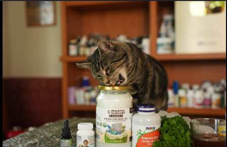 4 Simple Ways to Help With Bad Breath in Dogs and Cats at Home