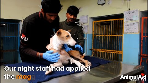 From Deep Pain to Radiant Hope: The Incredible Transformation of a Street Guardian