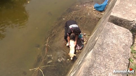 A Second Chance for the Forgotten: The Miraculous Rescue of a Trapped Soul
